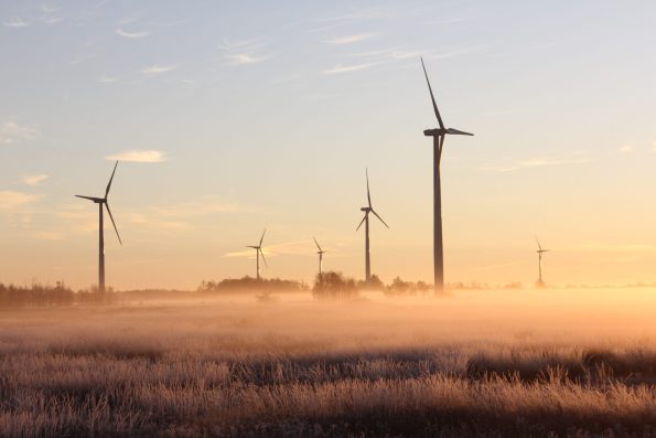 Electricity Law Notes 2020
